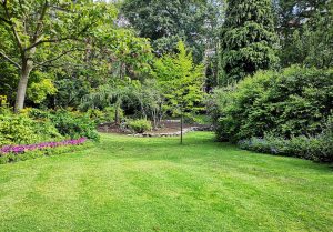 Optimiser l'expérience du jardin à Drevant